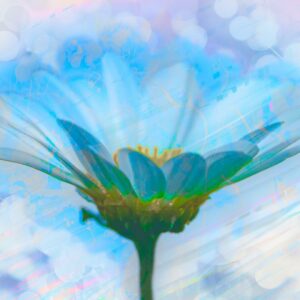 ateliers reiki