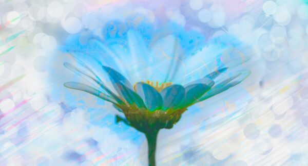 ateliers reiki